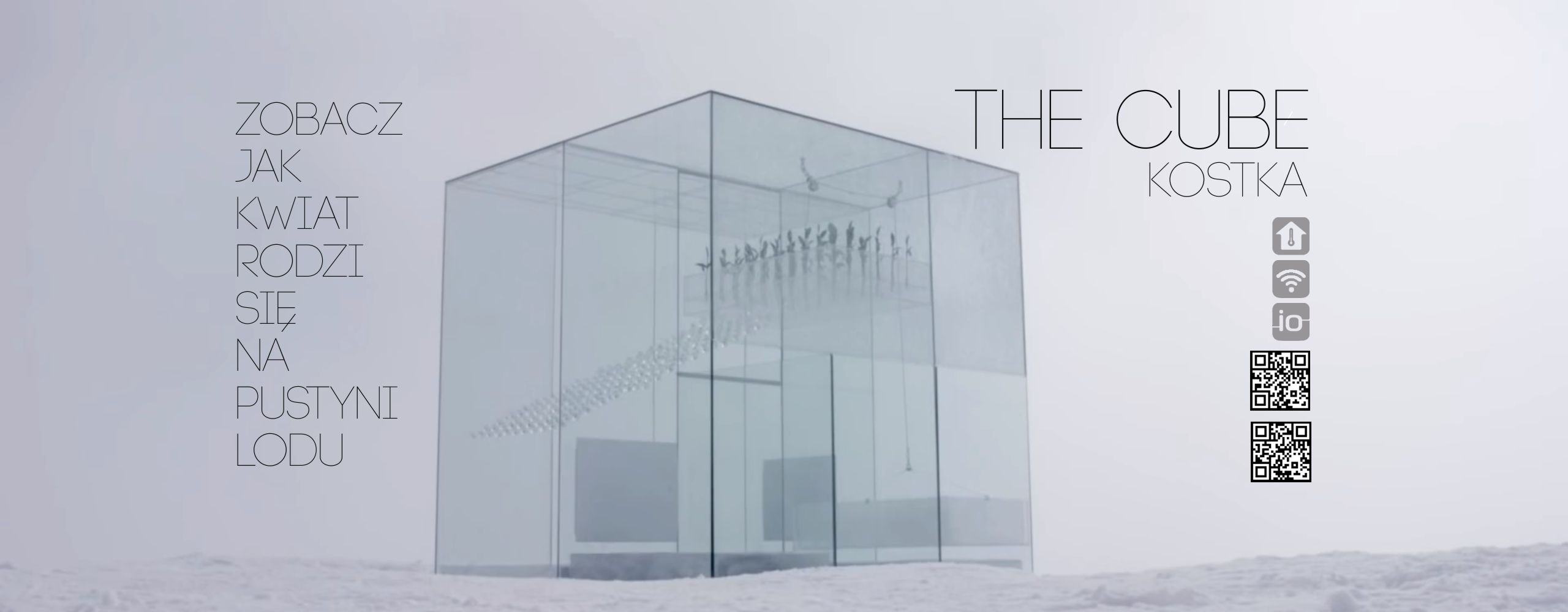The Cube